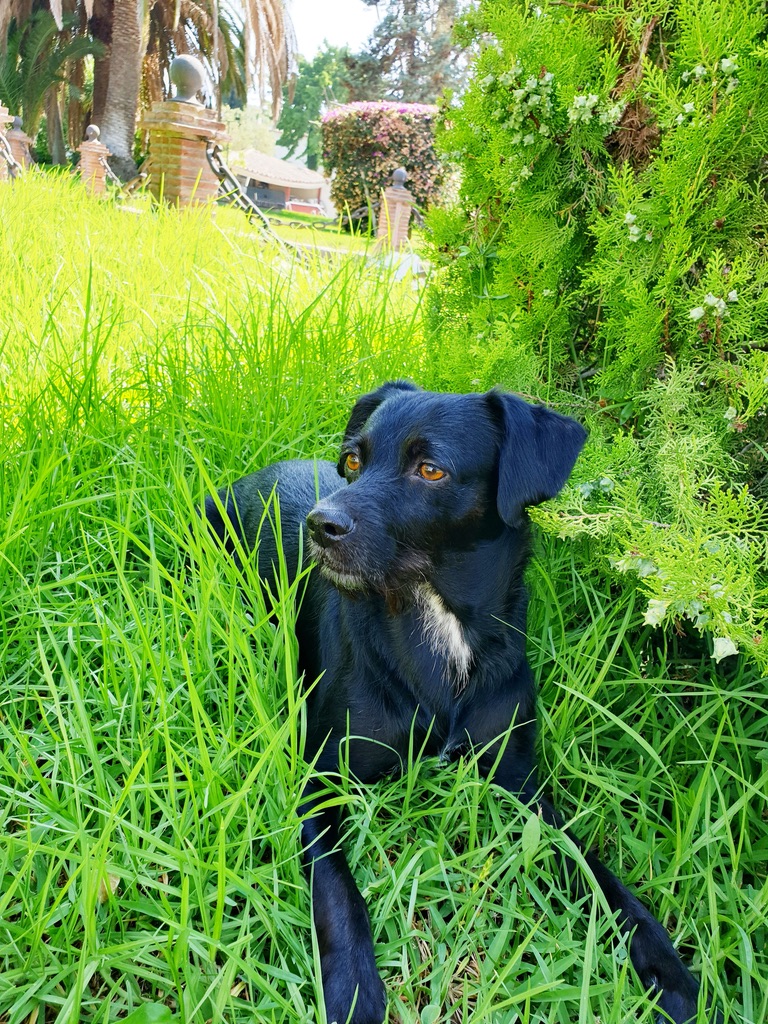 Luna